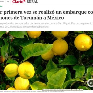 La primera exportación de limones a México consolidó su carga en Ruta 9