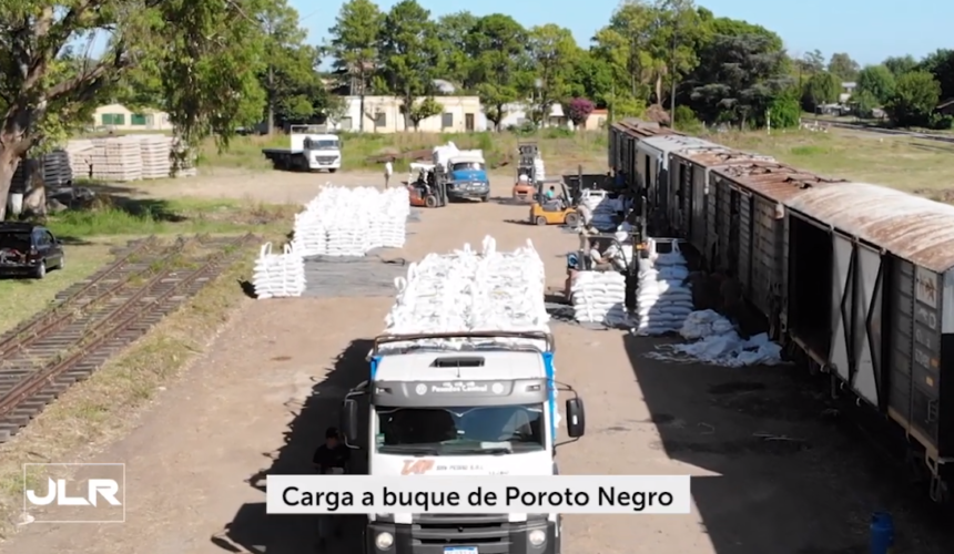 Almacenamiento y carga de porotos para exportación a Cuba